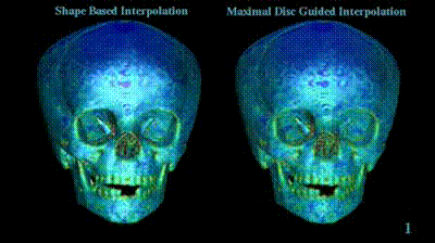 Skulls - with curvature