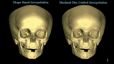 Skulls - surface lighting