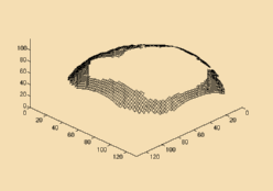 incomplete depth-map