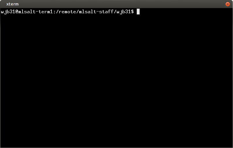 An X terminal window at the Unix prompt